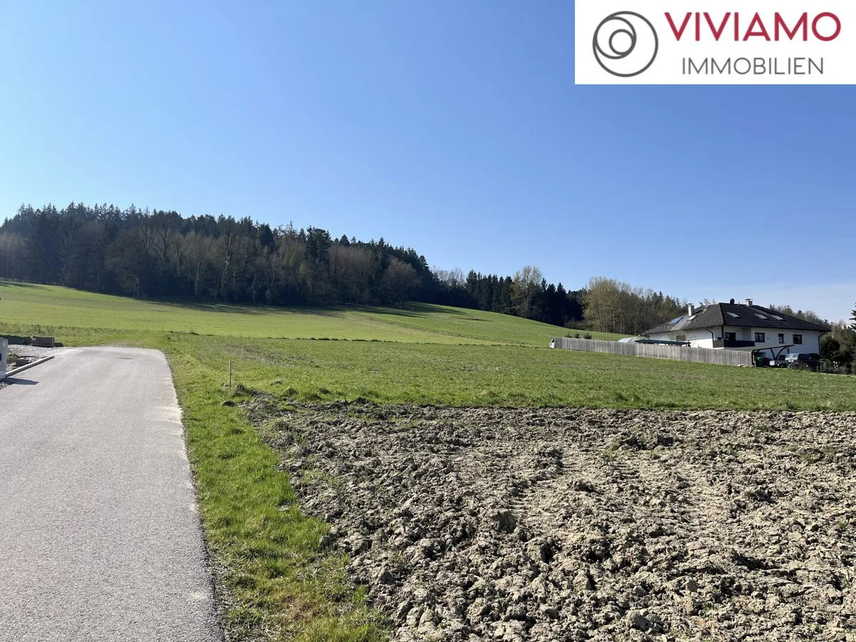 Sonniges Baugrundstück in Kematen am Innbach!