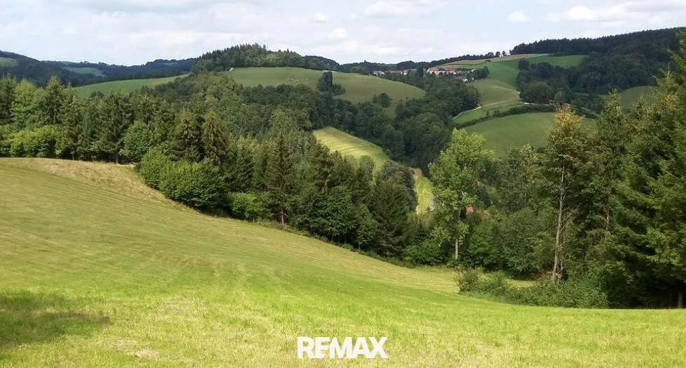 418.750 m² Wälder/Ackerland/Grünland - in der Buckligen Welt - Ihre Invenstition in Grund und Boden!