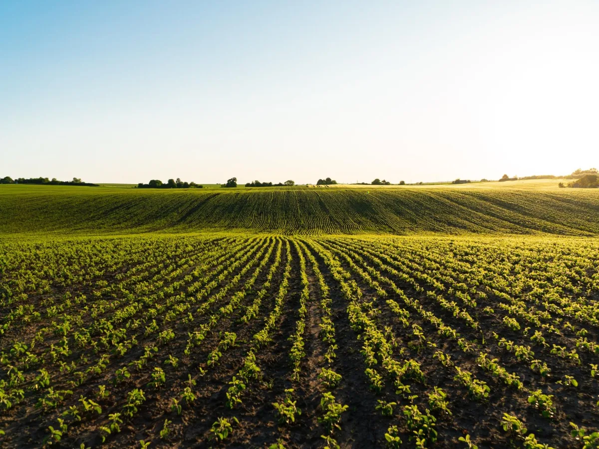 "Biologische Landwirtschaft!"
