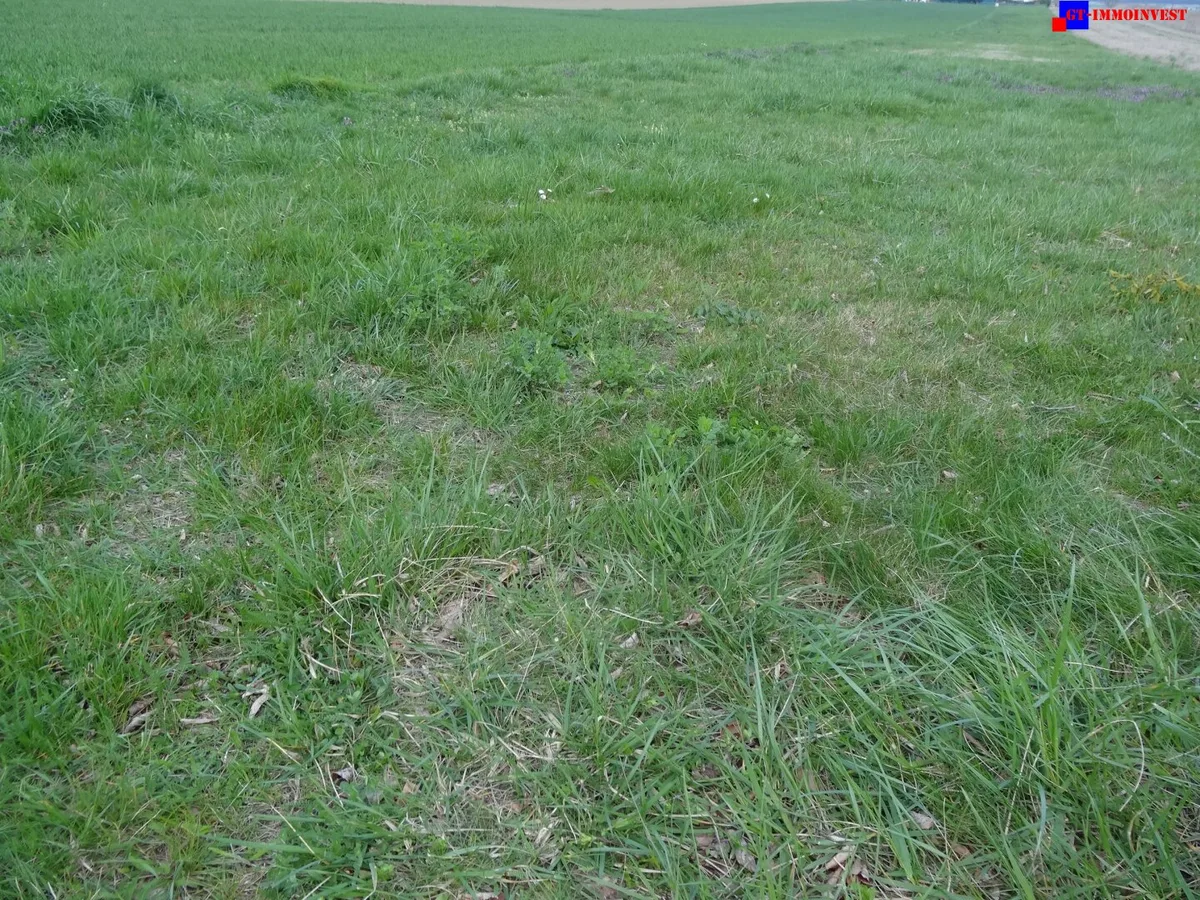 7024 Hirm sehr interessantes 4400m² Bauträgergrundstück !