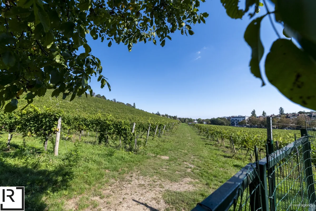 NEU: ruhiges und grünes Wohnen am Schafberg