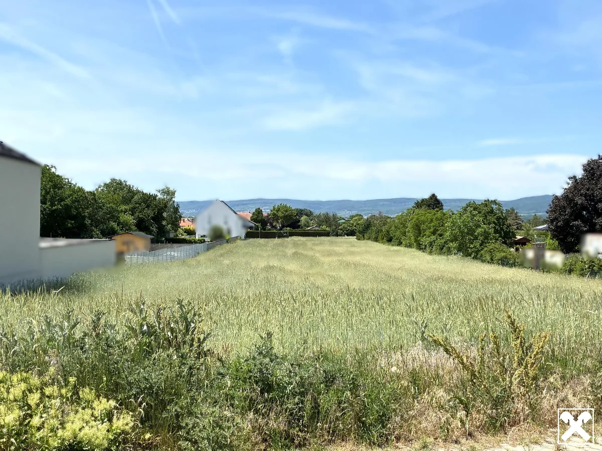 Rarität! Großer Baugrund im malerischen Oslip - 5min zum Neusiedler See!