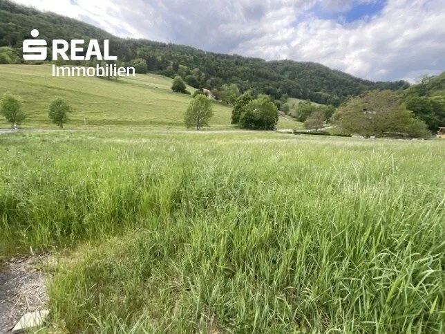 Schönes großes Baugrundstück in Stattegg bei Graz