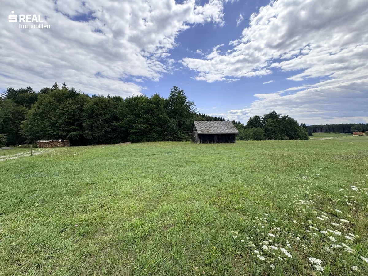 Schönes Grundstück in sonniger Wohnlage - Weststeiermark