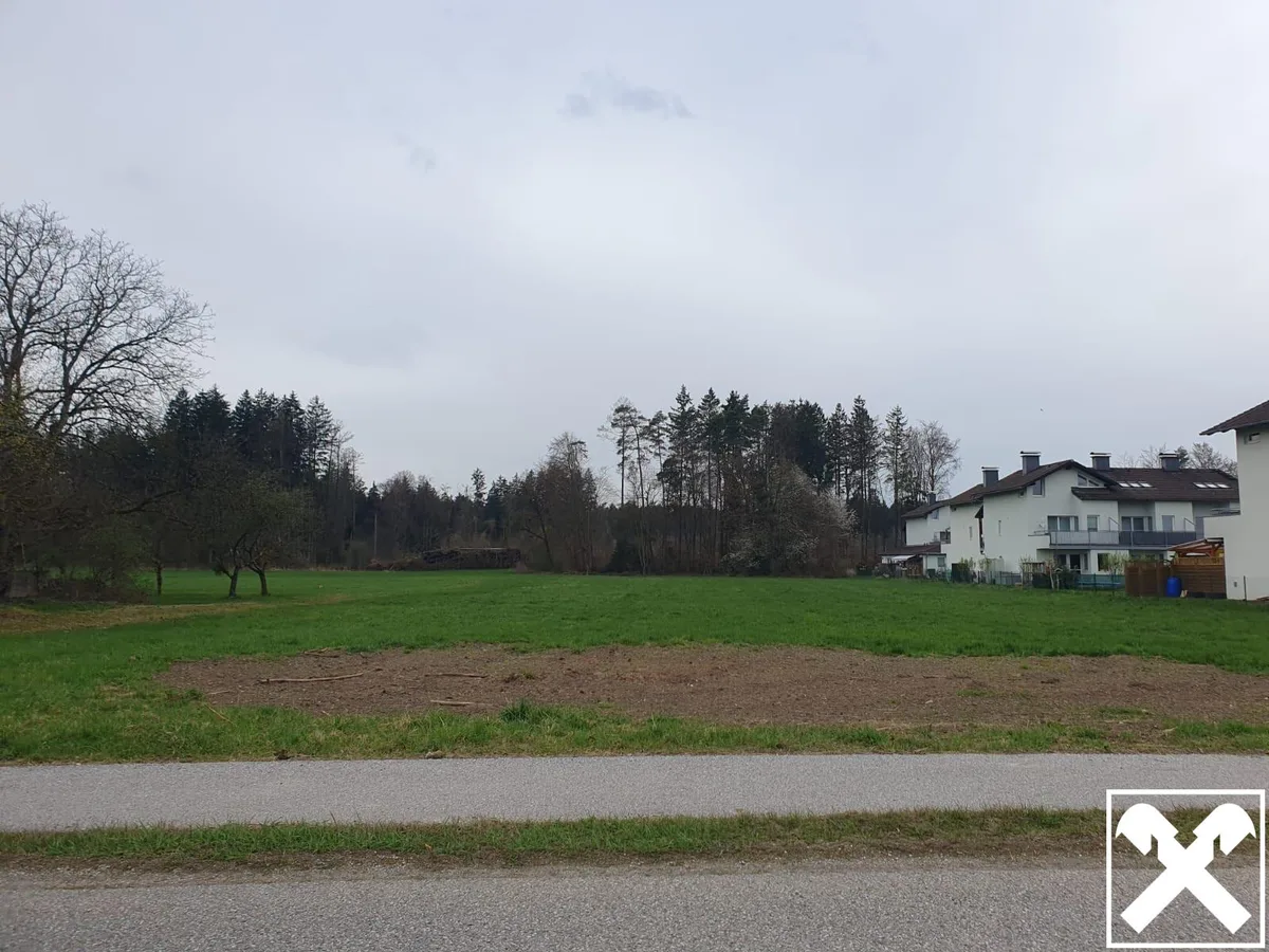 Grünland (als Bauerwartungsland im OEK)