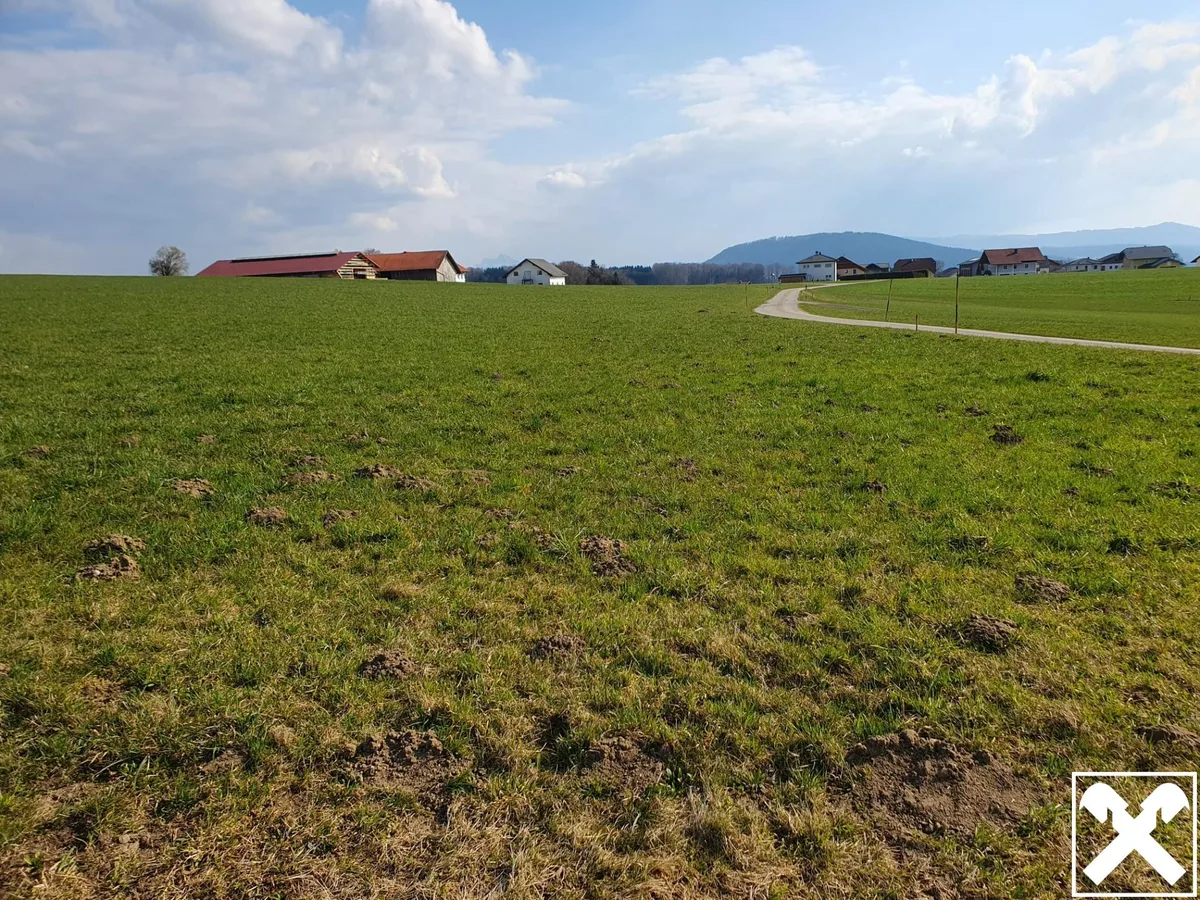 Landwirtschaftlicher Nutzgrund ca. 2,5 ha