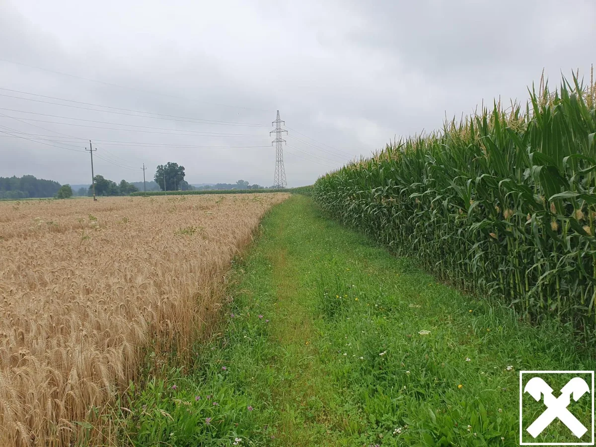 Landwirtschaftlicher Nutzgrund