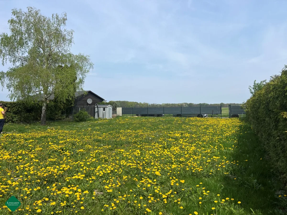 Pachtgrundstück in der Feriensiedlung Neufelder See
