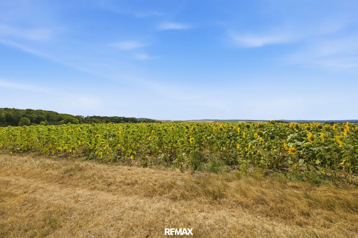 Landwirtschaftliche Fläche ´mit 7926 m² in Untermallebern zu verkaufen!