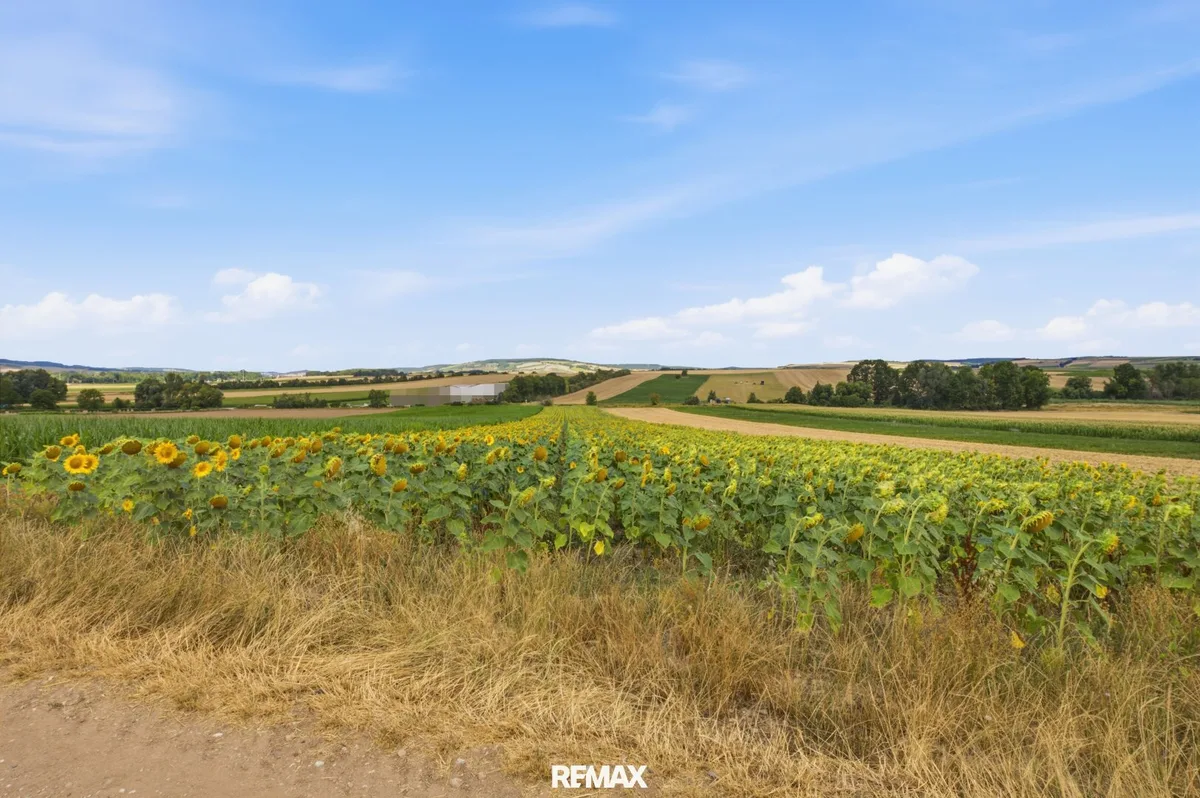 Landwirtschaftliche Fläche mit 11 710 m² in Untermallebern zu verkaufen!