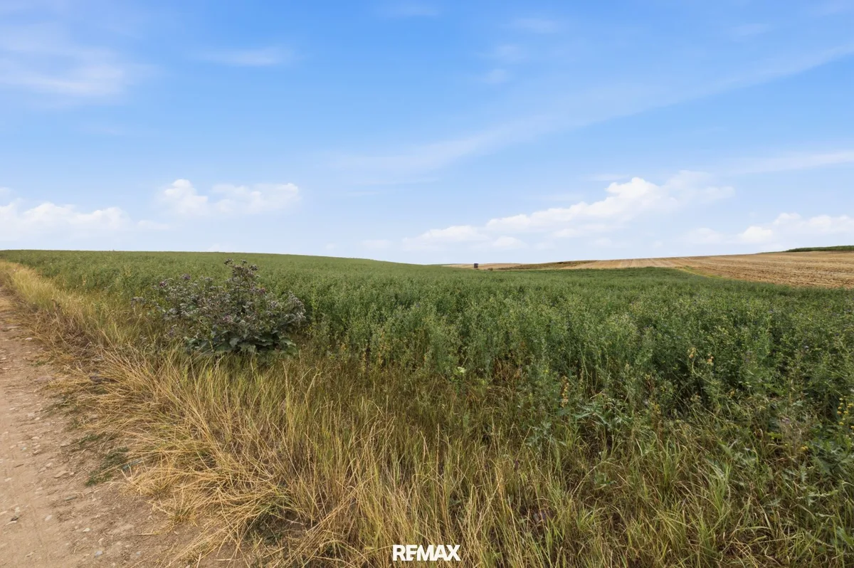 Landwirtschaftliche Fläche mit 7026  m² in Untermallebern zu verkaufen!