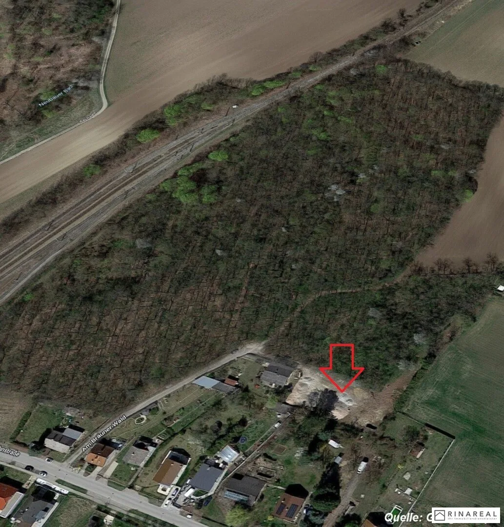 Baugrundstück - Am Bräuner Wald | 2125 Neubau  (Bauplatz 2 + LN)