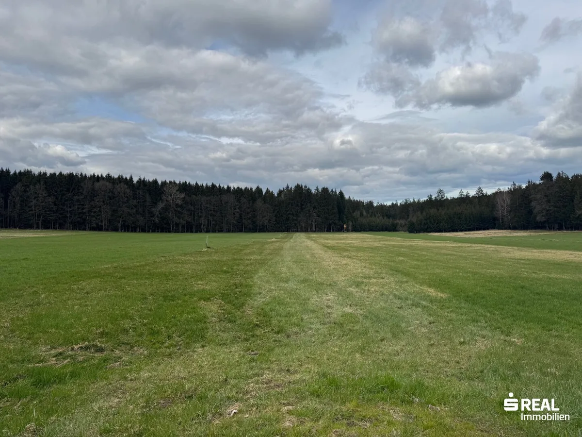 Landwirtschaftliches Wiesengrundstück
