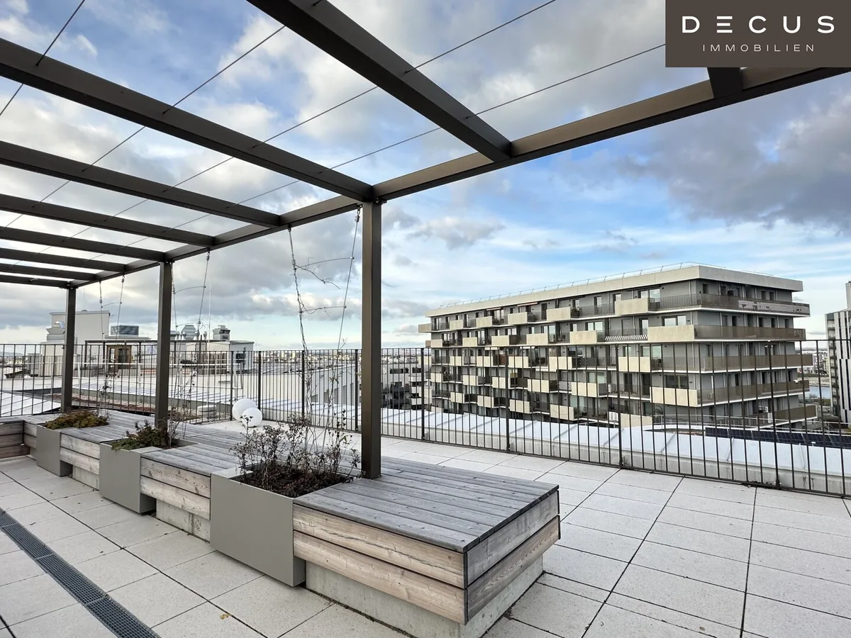 | ROBIN | Haus B | Inspired by Nature | Dachterrasse