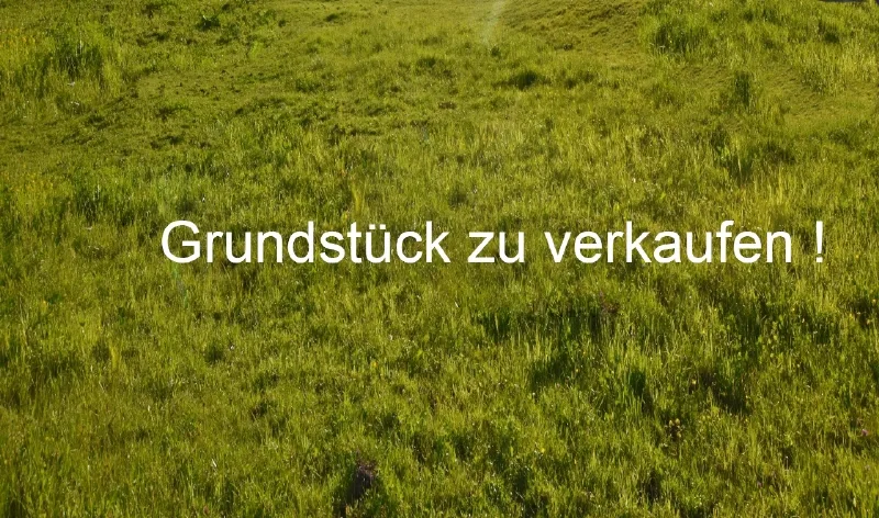 Großzügiges Grundstück in Traumlage