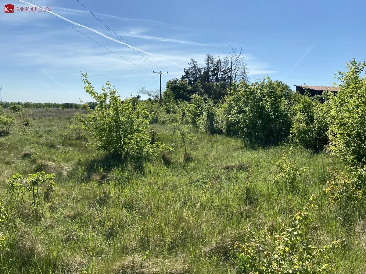 Baugrund in Strasshof an der Nordbahn
