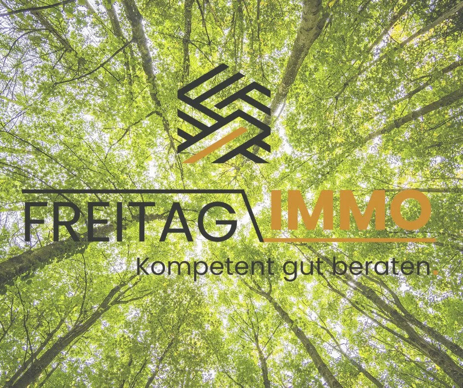 Wald als Wertanlage – Gepflegte Mischwälder provisionsfrei. Investition in die Zukunft.