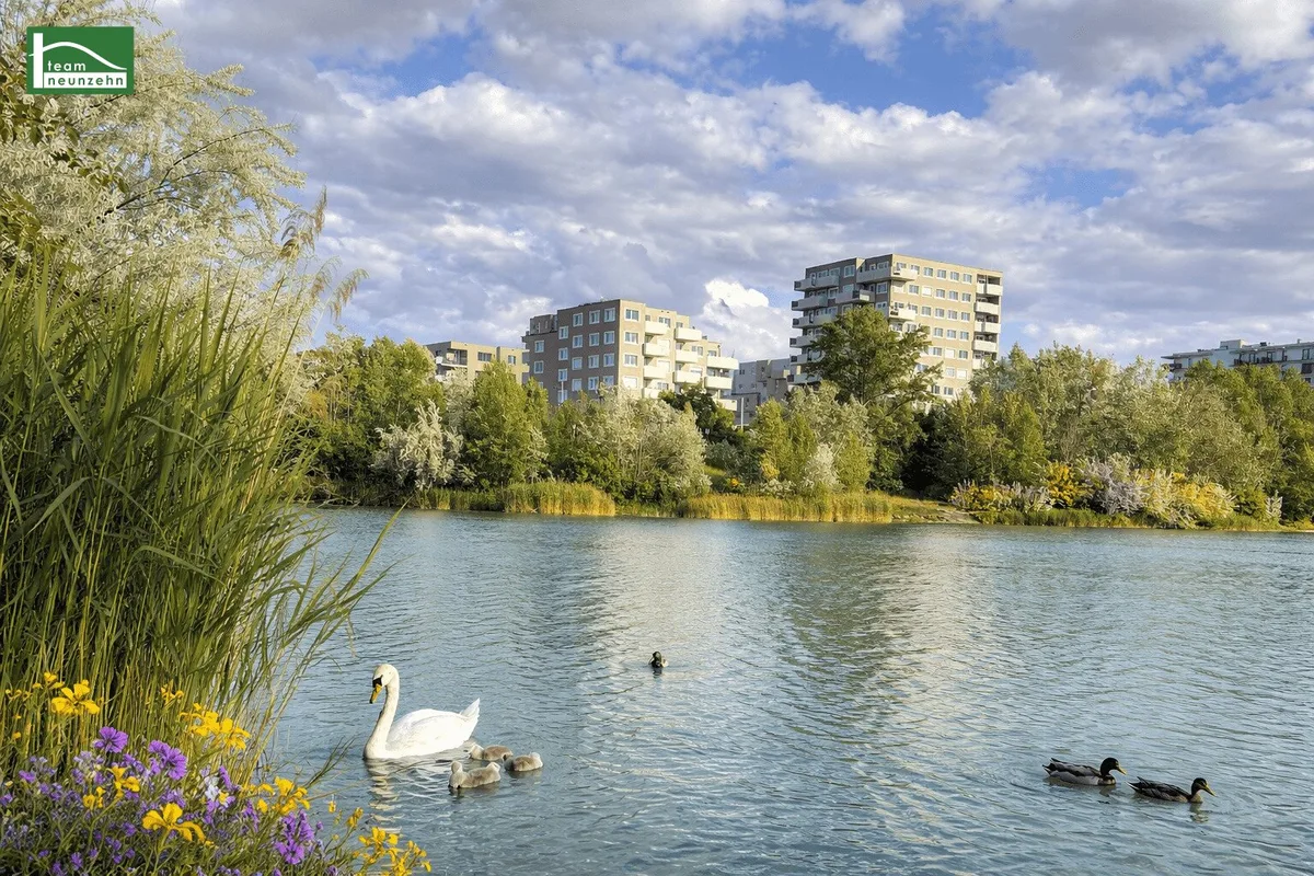 Leo am Teich - Wohnen am Wasser