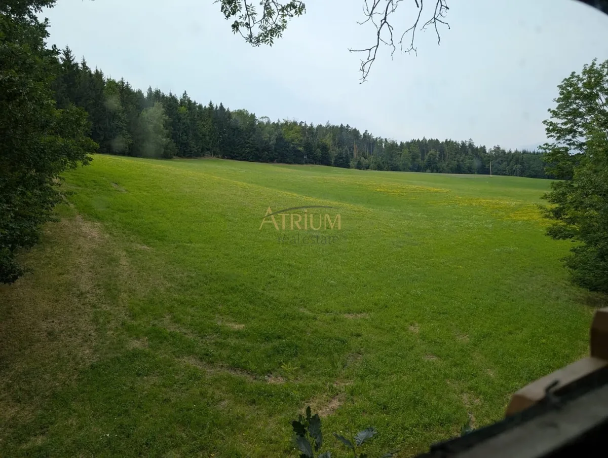 *** TRAUM VERWIRKLICHEN ***