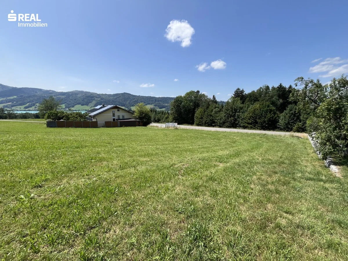 1.907 m² warten auf Ihre Pläne