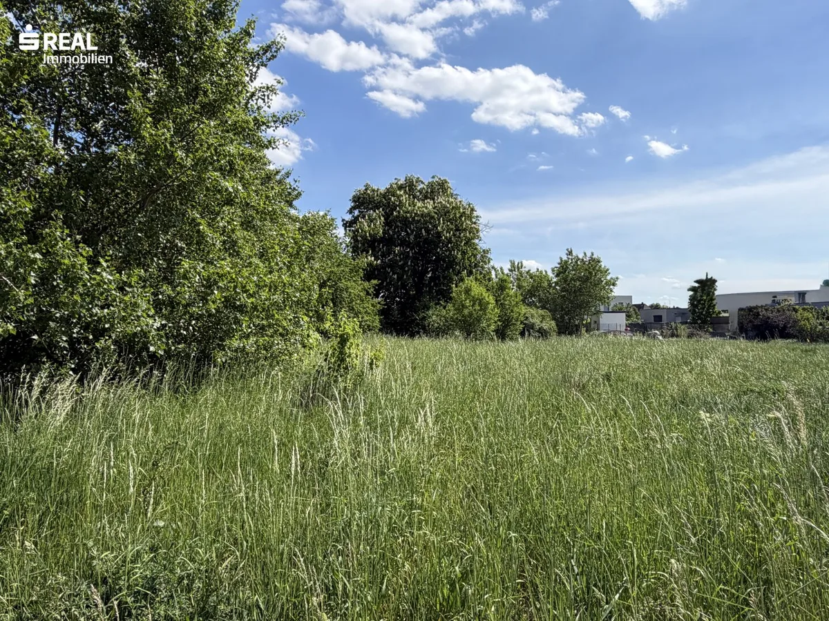 Lebensqualität am Neusiedler See - Baugrund in attraktiver Lage