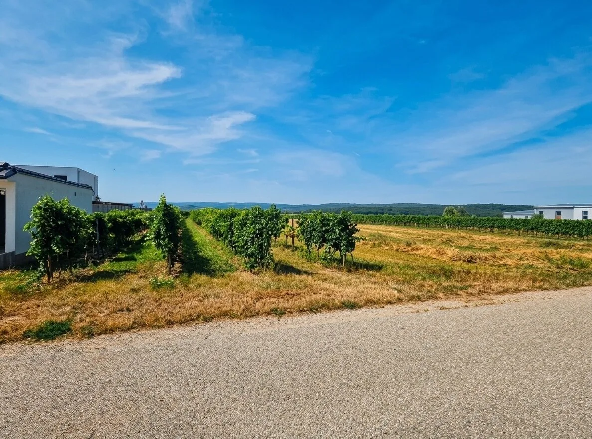 BAUGRUND MIT ZUKUNFT | ca. 782 m² Grundstück | Neusiedl am See | Top Infrastruktur | Gute Anbindung