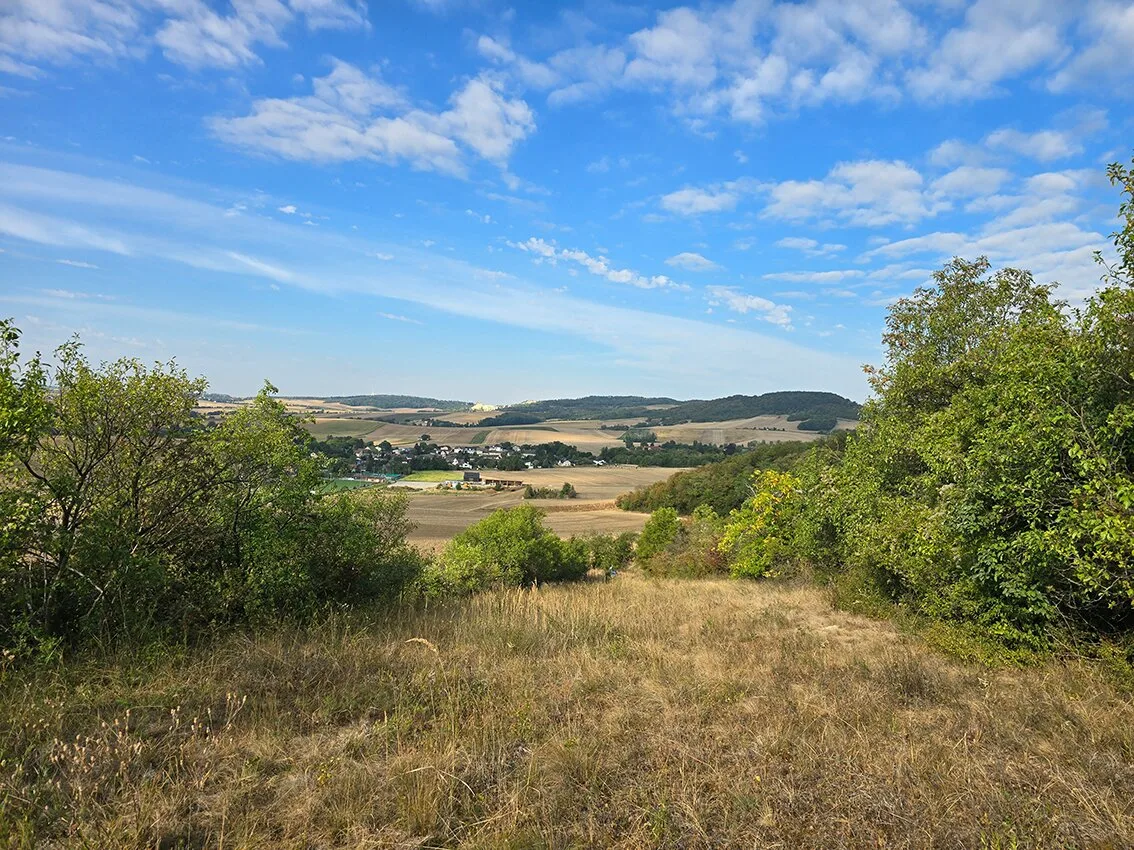 *** LANDWIRTSCHAFTLICHE FLÄCHE *** OBSTANBAU *** TIERHALTUNG ***